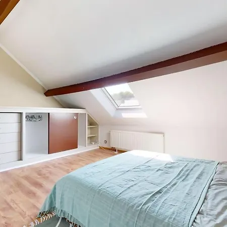 Beautiful House In Mons-shape-g00gle *